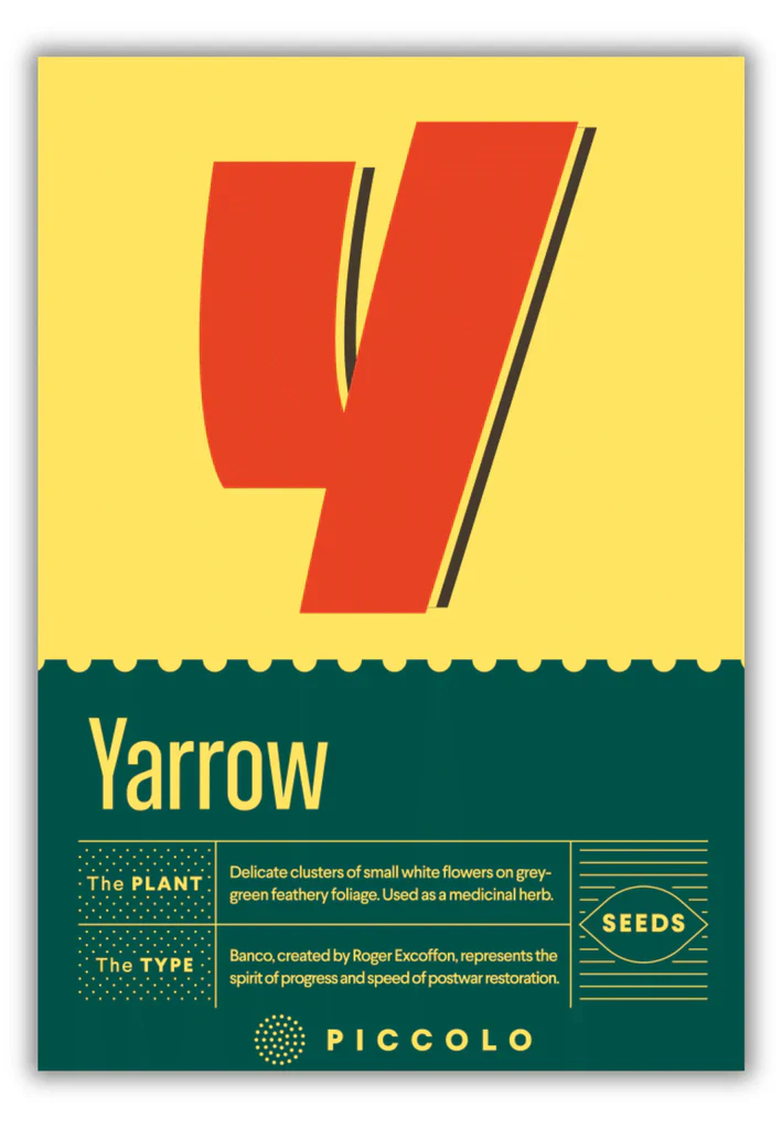 Seed Packets - Botanical Alphabet Collection - Image 49
