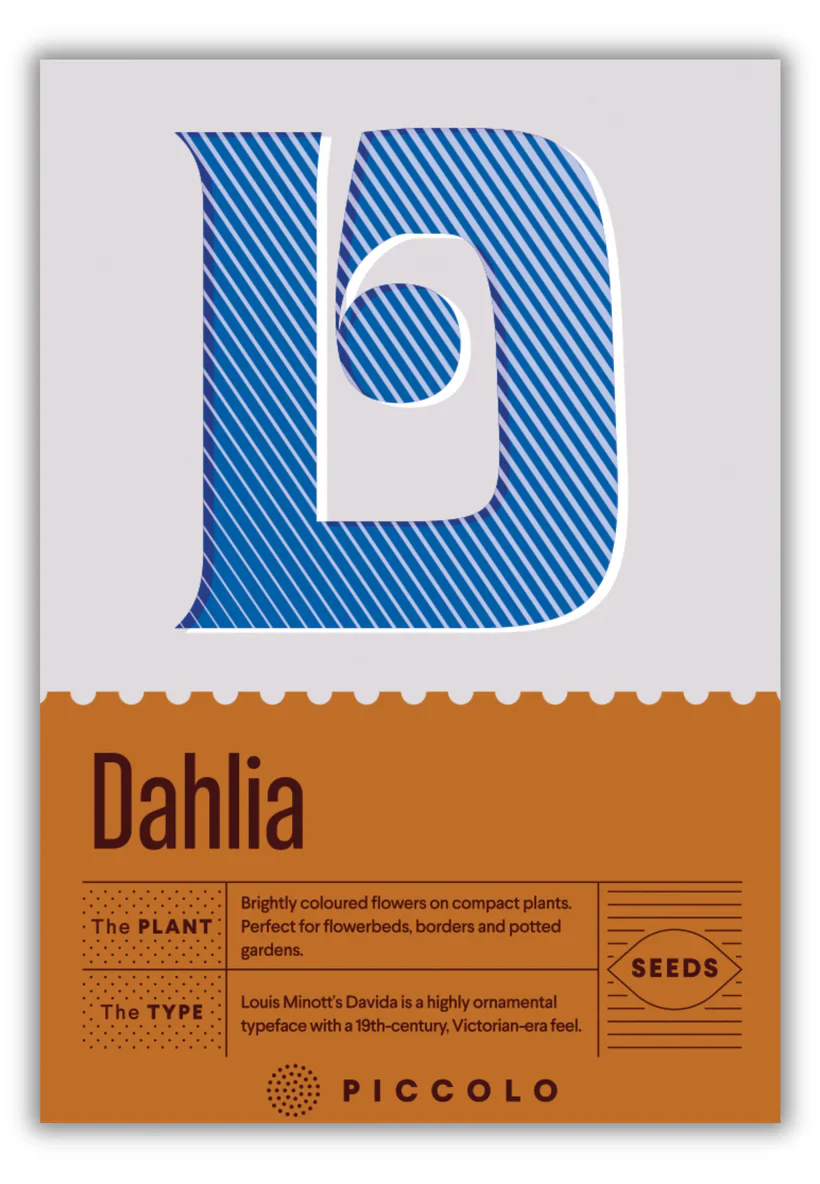 Seed Packets - Botanical Alphabet Collection - Image 7