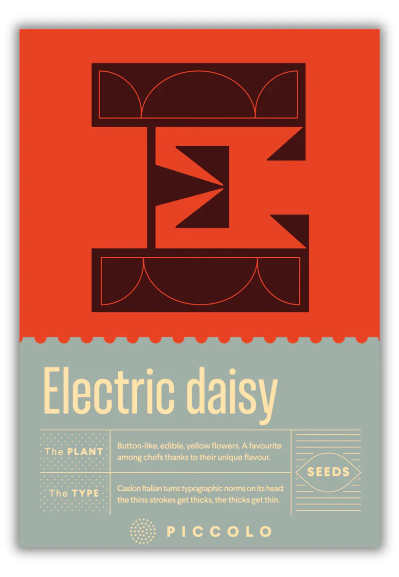 Seed Packets - Botanical Alphabet Collection - Image 9
