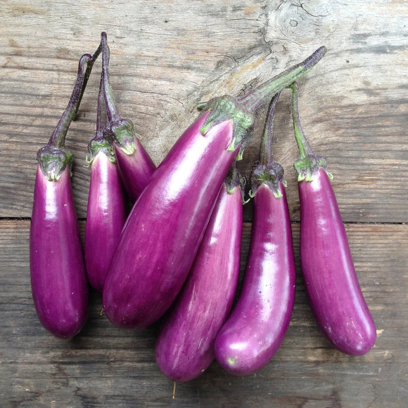 Seed Packets - Eggplant - Slim Jim - Image 3