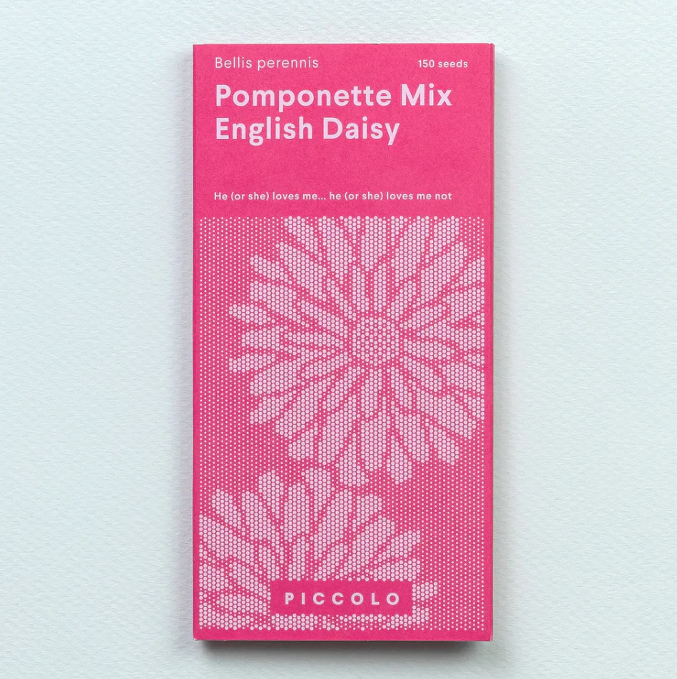 Seed Packets - English Daisy - Pomponette Mix