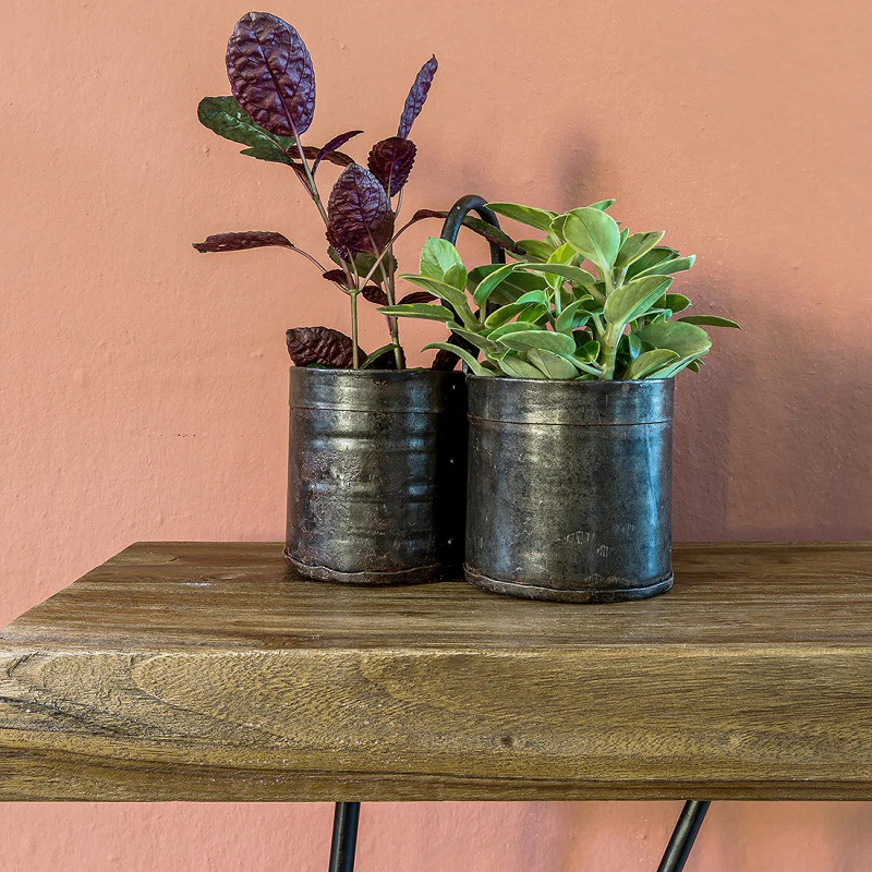 Planter - Vintage Vegetable Holder - Iron - Image 3
