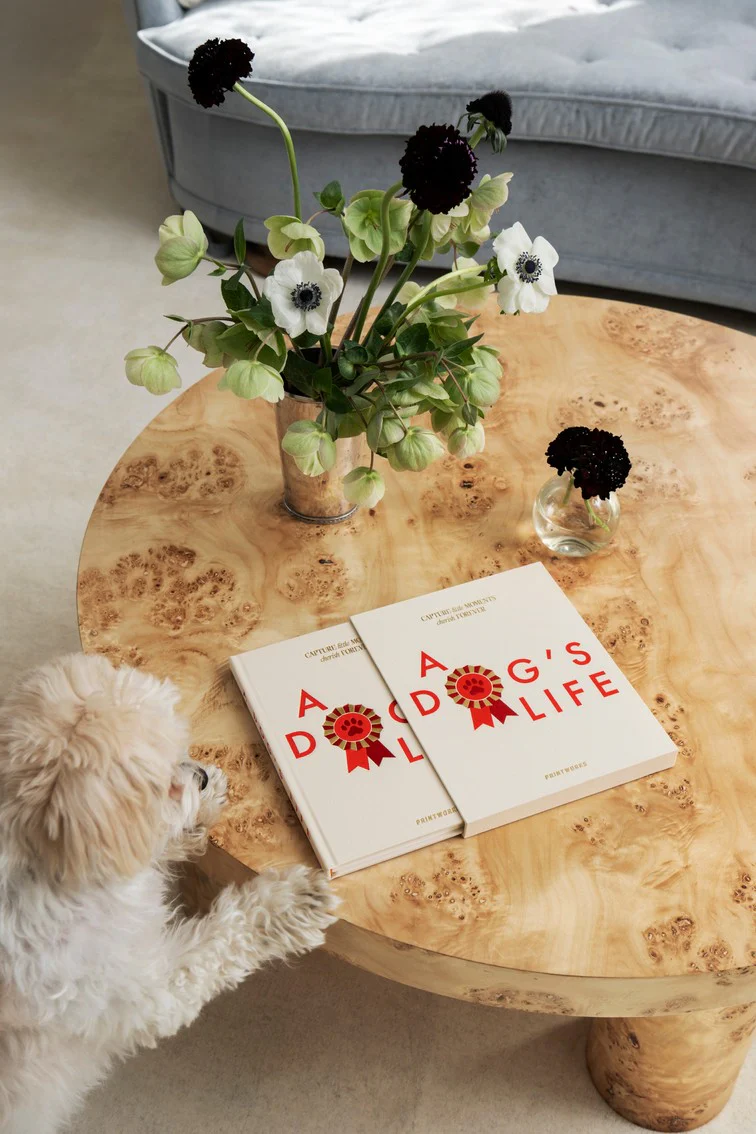 Dog Journal - A Dog's Life - Image 3