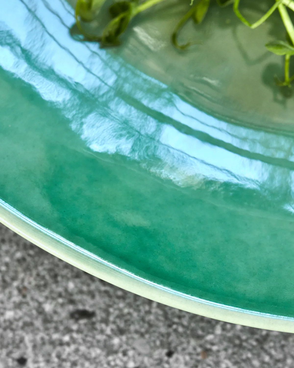 Dinner Plate - Diva - Green - Image 4