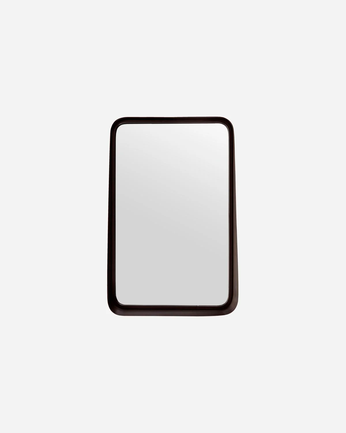 Mirror W/Frame - Wall - Pejo - Black Antique - Vertical