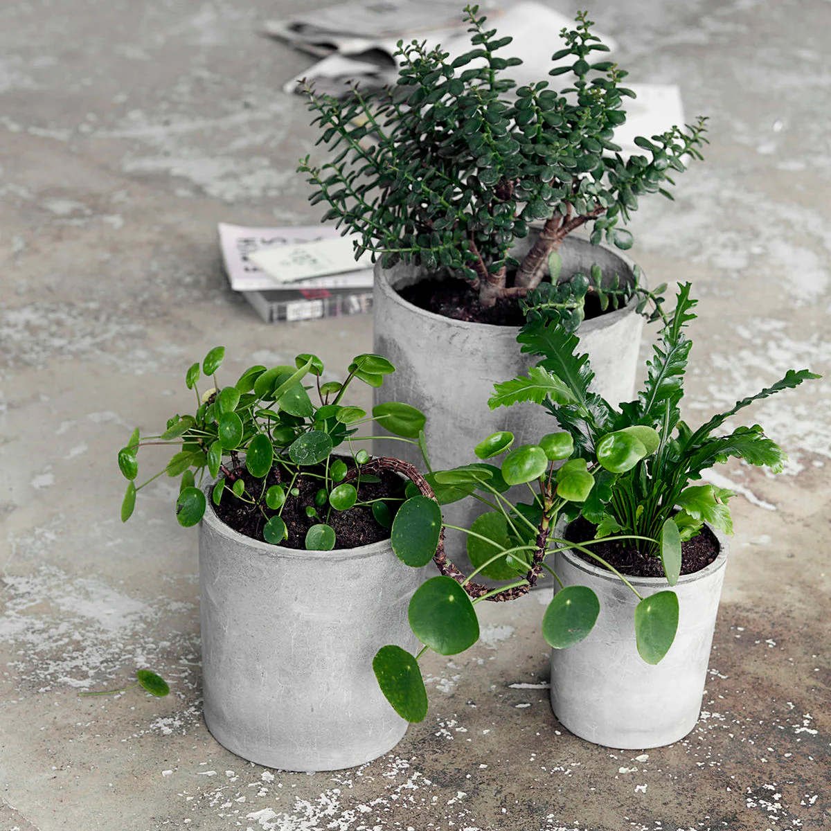 Plant Pot - Ave - Light Grey - Image 3