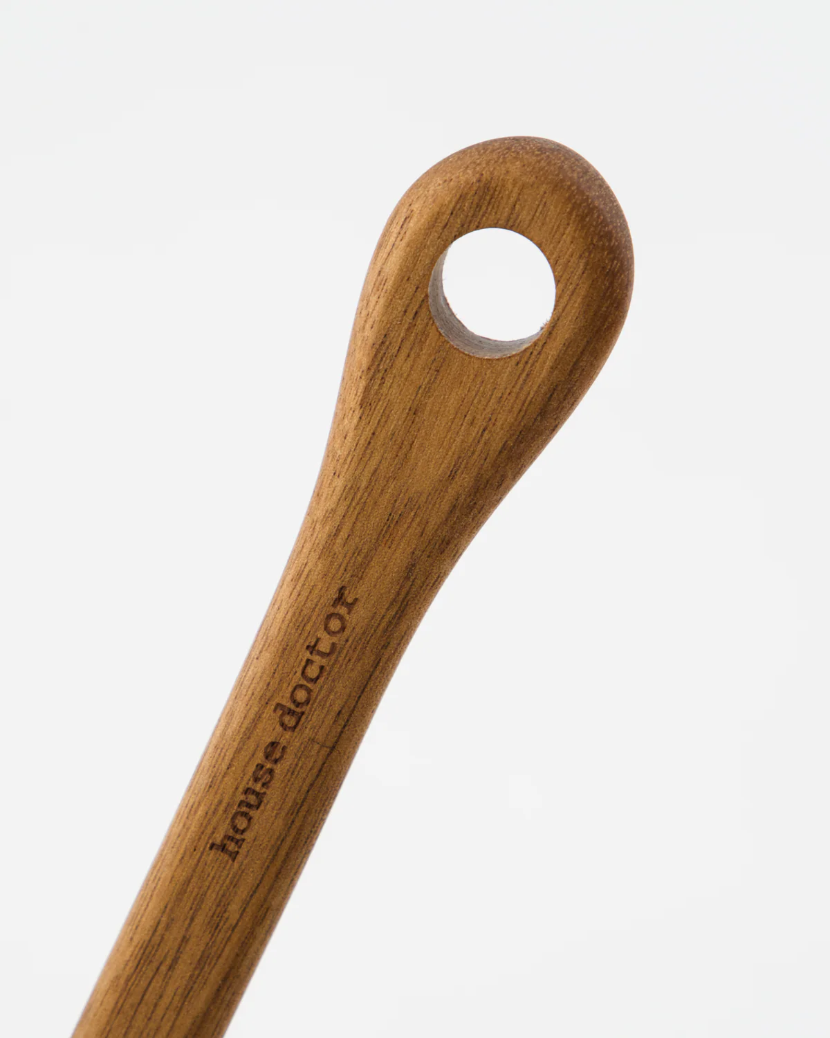 Spatula - Eya - Nature - Image 2