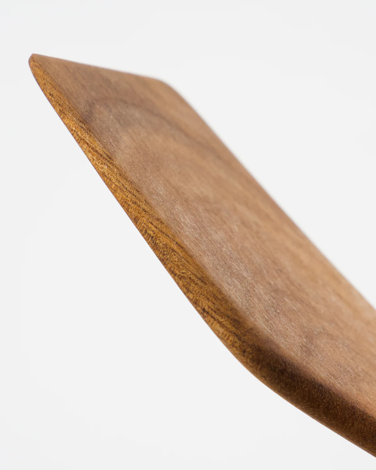 Spatula - Eya - Nature - Image 3