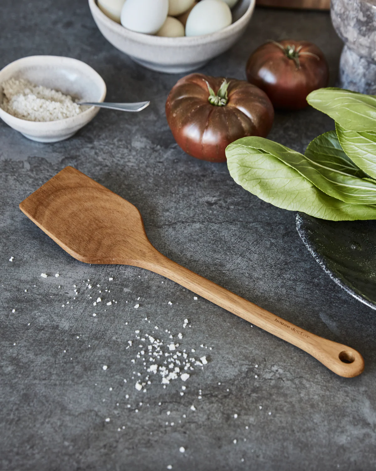 Spatula - Eya - Nature - Image 4