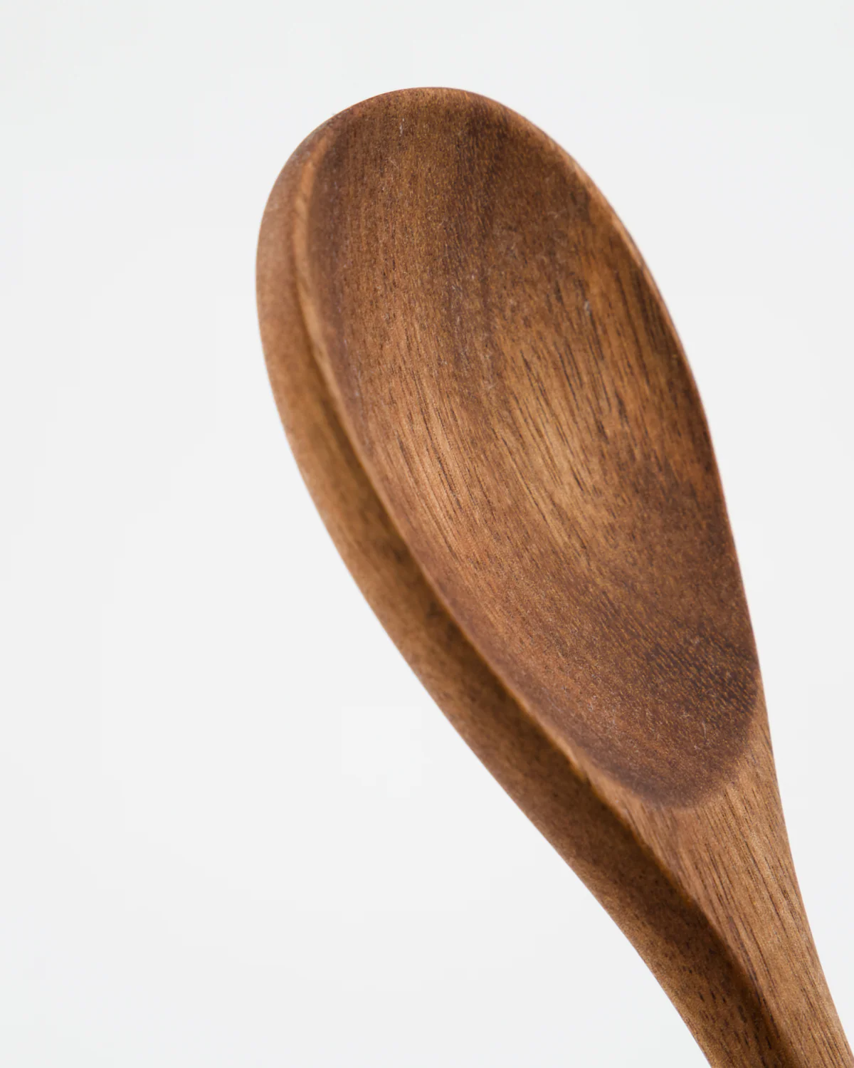 Spoon - Eya - Nature - Image 2