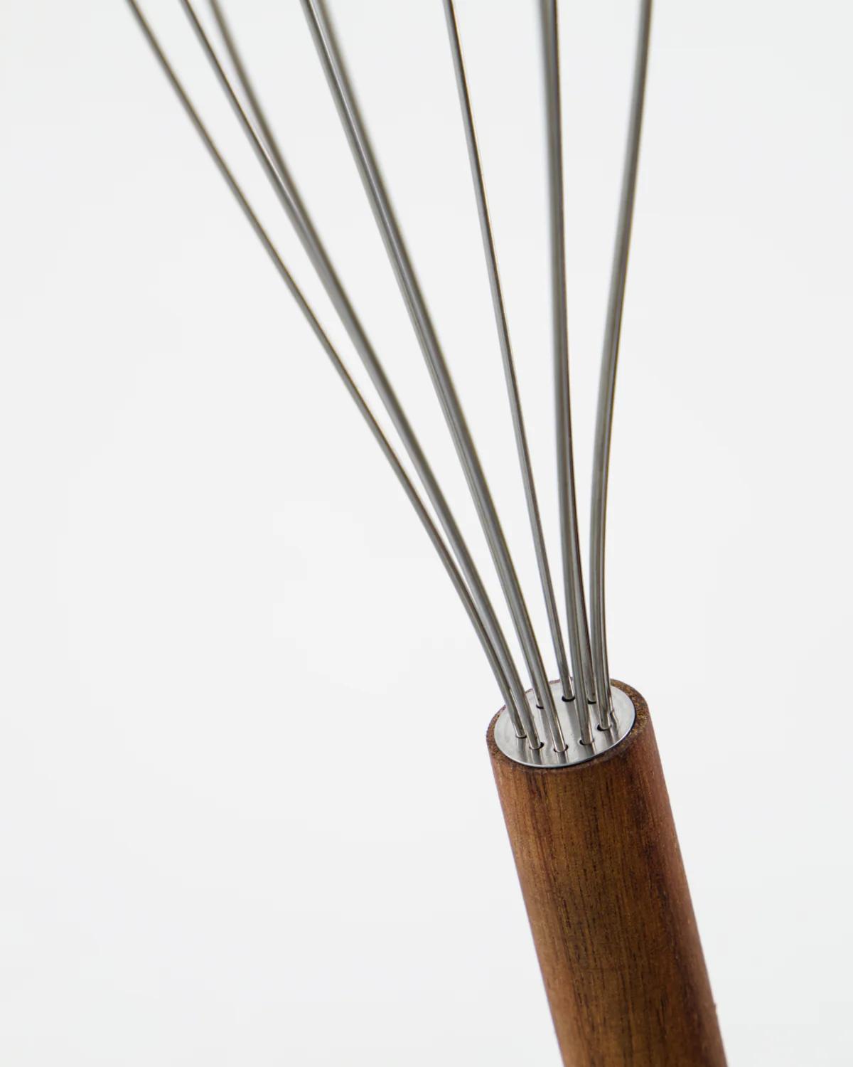 Whisk - Eya - Nature - Image 2
